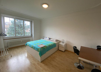 3 Zimmer Unterkunft in Basel
