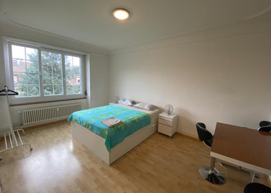 3 Zimmer Unterkunft in Basel