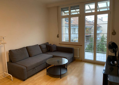 Modern and bright flat in Basel