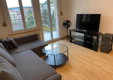 Appartamento completamente ristrutturato a Basel