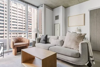 Entire apartment at West Lake Street, Chicago Loop, image 1 of 10