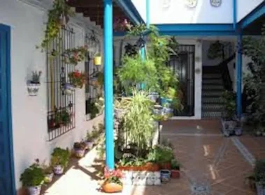 Całe miejsce Calle Pintor Bermejo, Centro, obraz 1 10