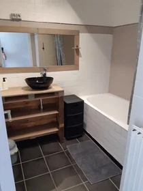 Chambre privée à Rue de l'Hippodrome, Nantes Nord, image 7 de 9
