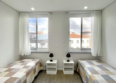 Ponta Delgada de ortak bir dairede kiralık oda