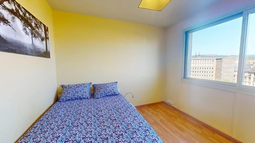Zimmer mit Doppelbett zu vermieten Clermont-ferrand