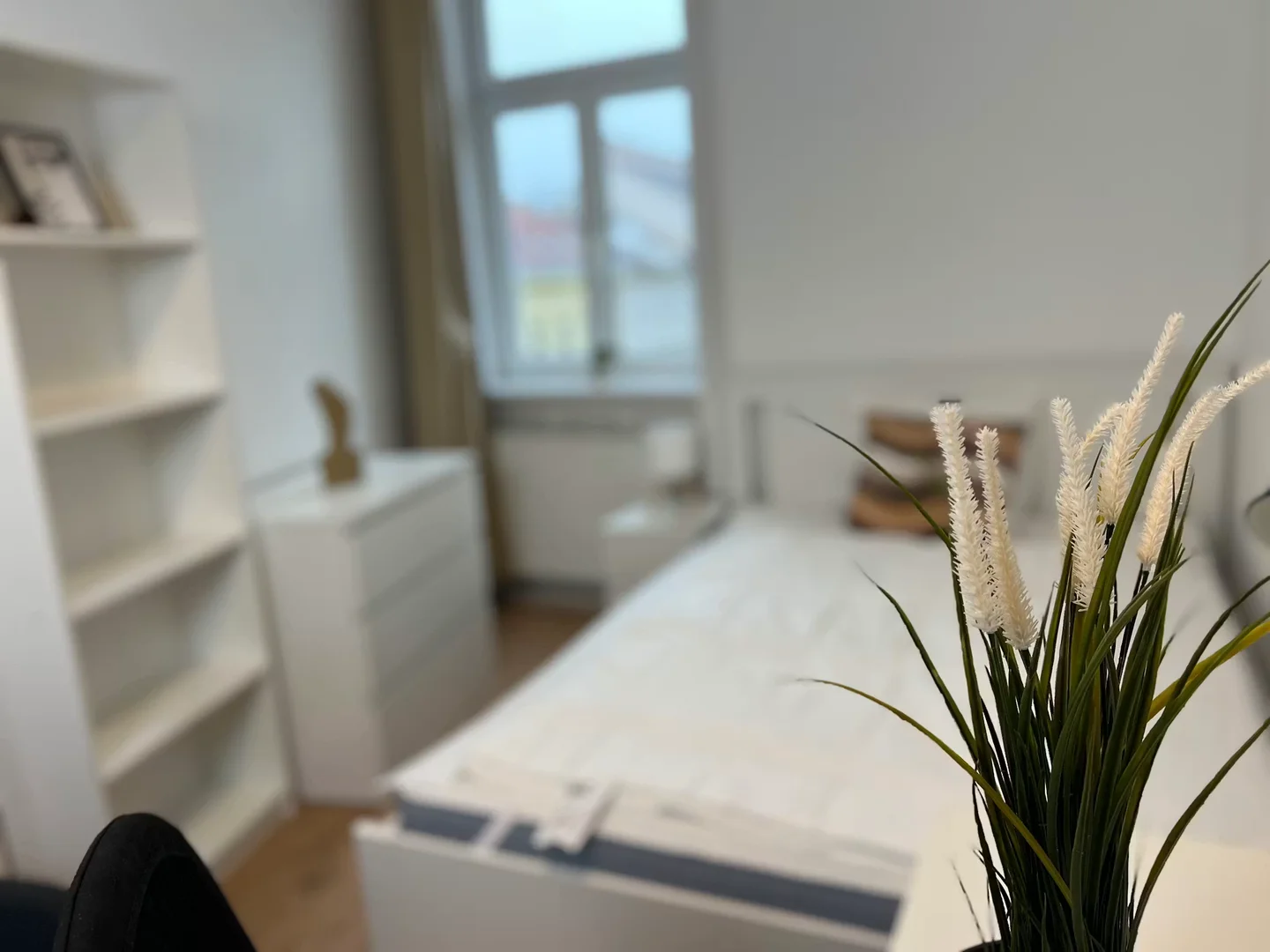 Quarto amigo do estudante em  com comodidades modernas