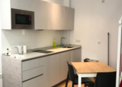 Entire fully furnished flat in Valladolid