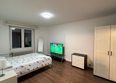 Appartamento con 3 camere da letto a Basel