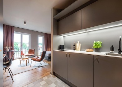 Modern and bright flat in Braunschweig