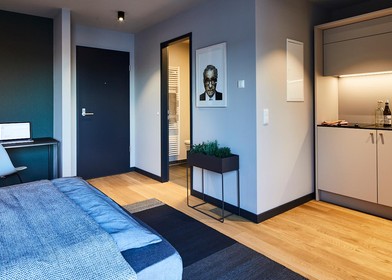 Alojamiento con 3 habitaciones en Wolfsburgo