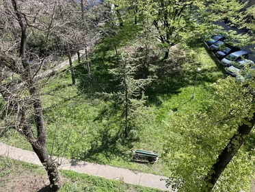 Entire apartment at Tošin bunar 69, image 19 of 21