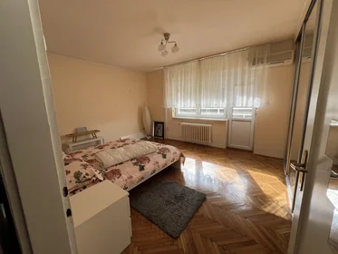 Entire apartment at Tošin bunar 69, image 4 of 21