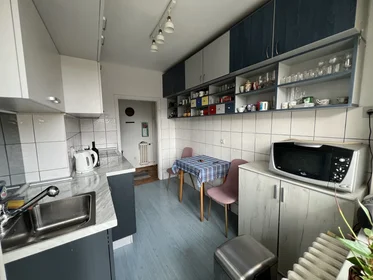 Entire apartment at Tošin bunar 69, image 7 of 21