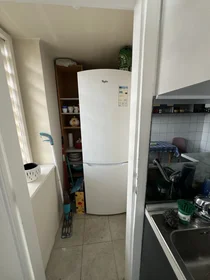 Entire apartment at Tošin bunar 69, image 10 of 21