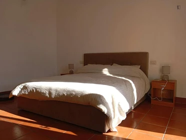 Privatzimmer in der Viale Orazio Antinori, bild 3 von 13