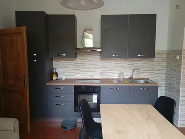 Privatzimmer in der Viale Orazio Antinori, bild 6 von 13