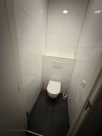 Habitación privada en Pleinweg, imagen 1 de 8