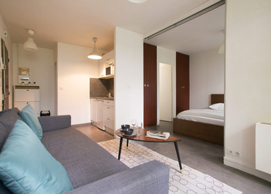 Two bedroom accommodation in paris