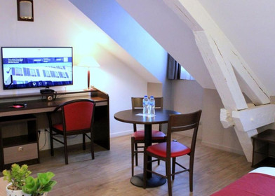 Very bright studio for rent in Pau