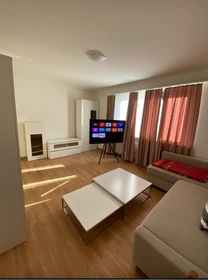 Basel de tamamen mobilyalı daire