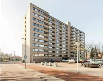 Gesamte Unterkunft in der Penelopestraat, bild 1 von 9