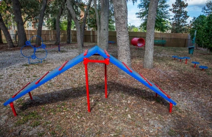 Entire apartment in residence at 13702 42nd St, Tampa, FL 33613, United States, image 44 of 49
