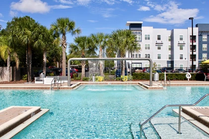 Entire apartment in residence at 13702 42nd St, Tampa, FL 33613, United States, image 7 of 49