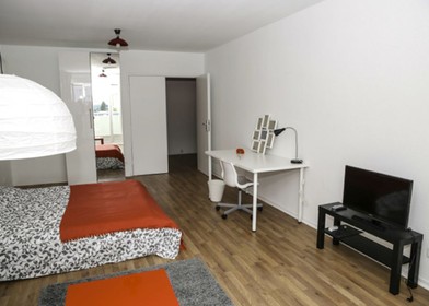 Quarto para alugar num apartamento partilhado em Estrasburgo