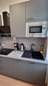 Apartamento inteiro em Gottschedstraße, Mitte, imagem 5 de 10
