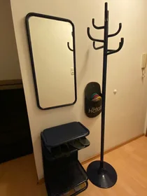 Apartamento inteiro em Unionstraße, Waldegg, imagem 7 de 7
