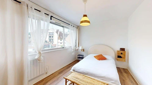 Logement entier à 52 Rue des 3 Rois, 68100 Mulhouse, France, image 12 de 18