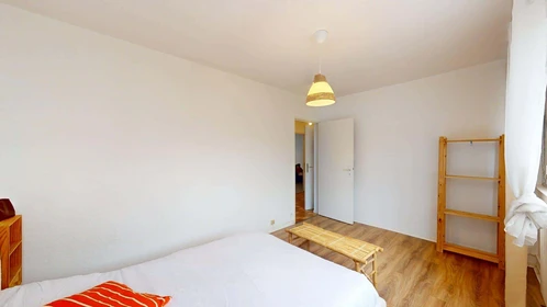 Logement entier à 52 Rue des 3 Rois, 68100 Mulhouse, France, image 14 de 18