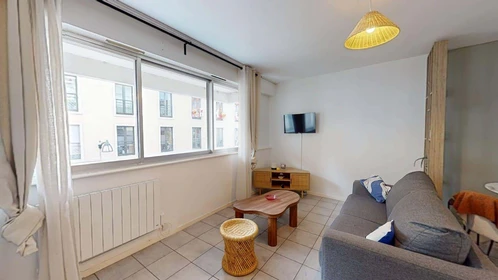 Alojamiento entero en 52 Rue des 3 Rois, 68100 Mulhouse, France, imagen 5 de 18