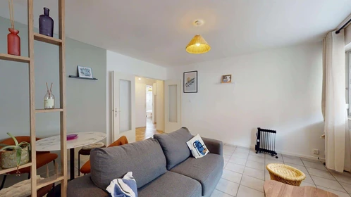 Logement entier à 52 Rue des 3 Rois, 68100 Mulhouse, France, image 7 de 18