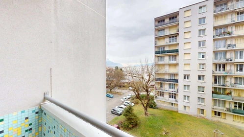 Gesamte Unterkunft in der 4 Rue Honoré Daumier, 38400 Saint-Martin-d'Hères, France, bild 22 von 29