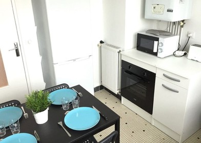 Room for rent in a shared flat in Nantes