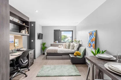 Studio in residence at Windsor Ln, Cardiff CF10 3DE, United Kingdom, image 1 of 6