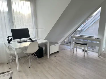 Całe miejsce Eugen-Huber-Strasse, Kreis 9, obraz 4 10