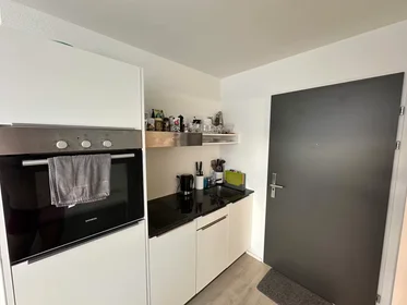 Całe miejsce Eugen-Huber-Strasse, Kreis 9, obraz 5 10
