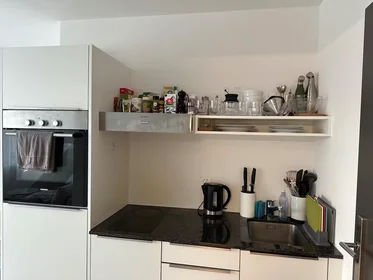 Całe miejsce Eugen-Huber-Strasse, Kreis 9, obraz 6 10