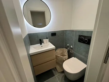 Privatzimmer in der Riesstraße, Moosach, bild 5 von 10