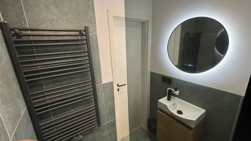 Privatzimmer in der Riesstraße, Moosach, bild 6 von 10