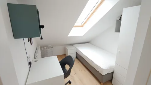 Habitación privada en Bohinjčeva ulica, Dravlje, imagen 1 de 6
