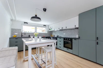 Habitación privada en Bohinjčeva ulica, Dravlje, imagen 5 de 6