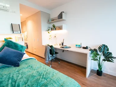 Prywatny pokój 145 Berkeley St, Melbourne VIC 3000, Australia, obraz 1 10