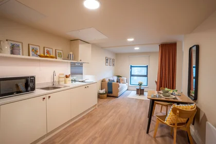 Gesamte Unterkunft im Wohnheim in der 15 Foss Island, York, YO31 7UL, bild 4 von 32