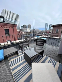 Logement entier en résidence à 27, Anderson St., Unit 1, Beacon Hill, Boston, MA, 02114, image 3 de 7