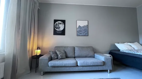 Logement entier à Venevalkamantie, Kauniainen, image 1 de 10
