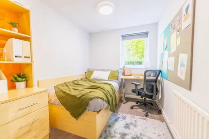 Stanza privata in Elvetham Road, Birmingham, B15 2NL, immagine 5 di 29