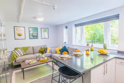 Stanza privata in Elvetham Road, Birmingham, B15 2NL, immagine 19 di 29